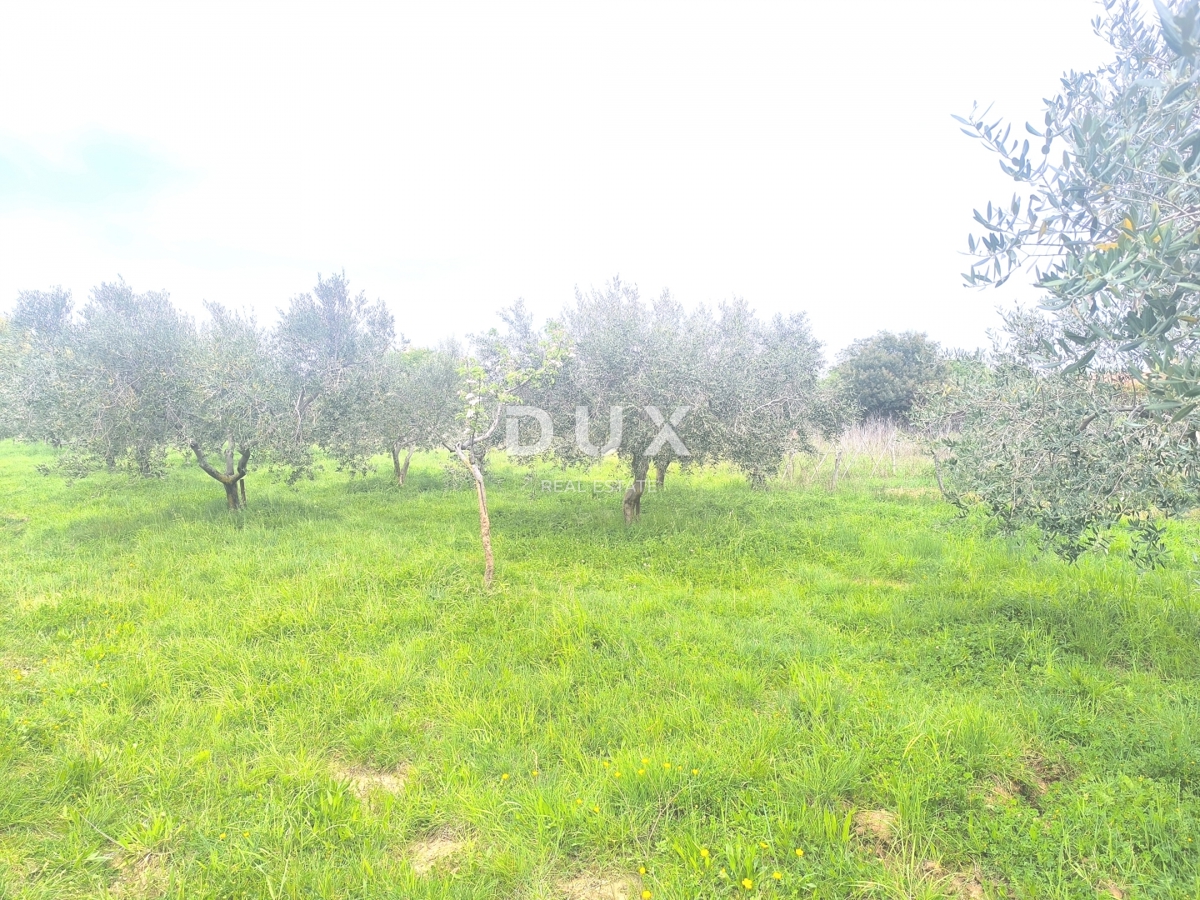 Zemljišče Premantura, Medulin, 1.010m2