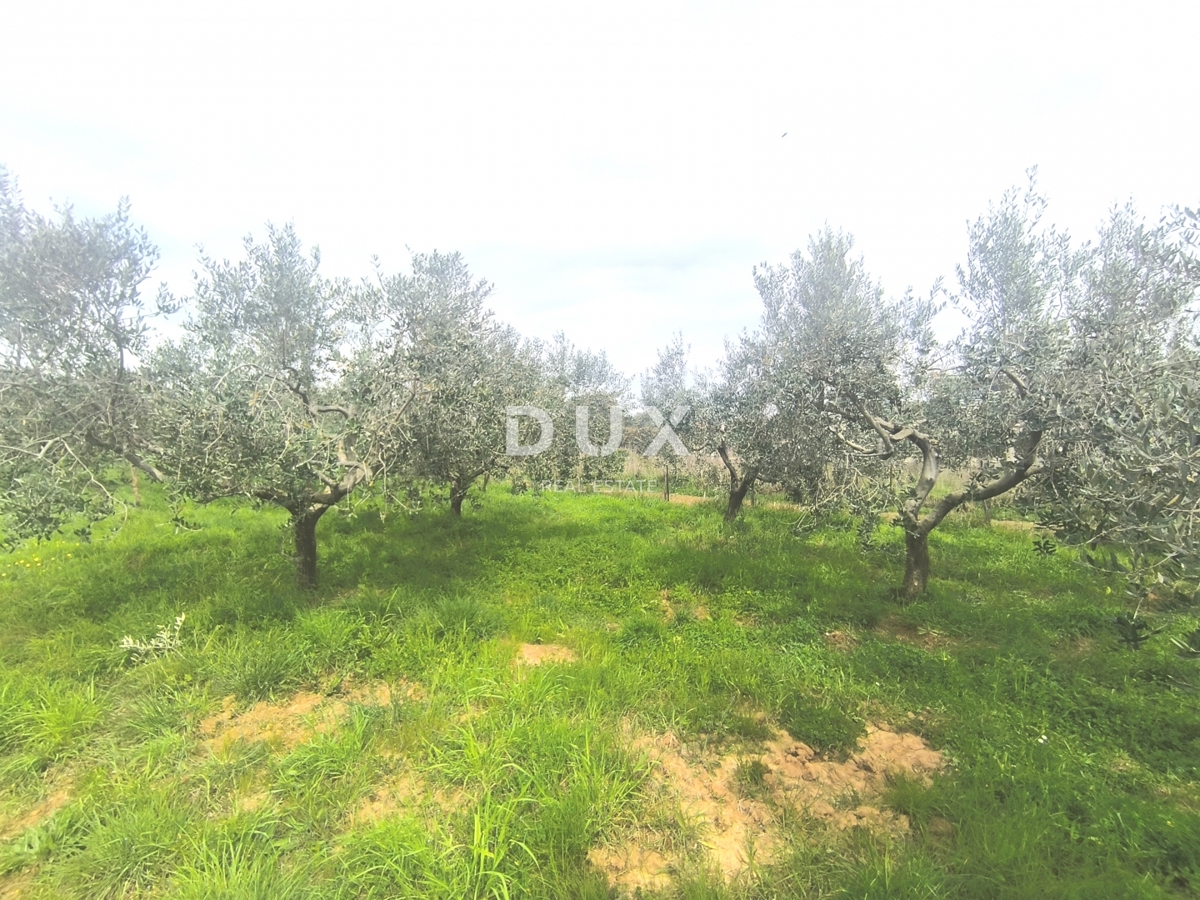 Zemljišče Premantura, Medulin, 1.010m2