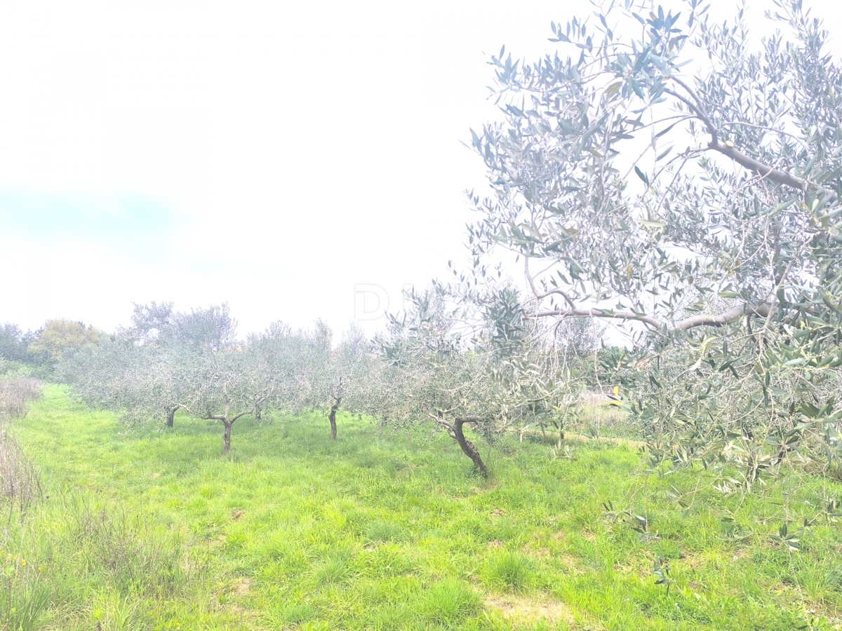 Zemljišče Premantura, Medulin, 1.010m2