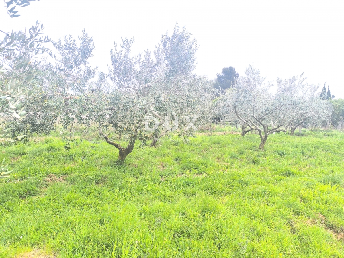 Zemljišče Premantura, Medulin, 1.010m2