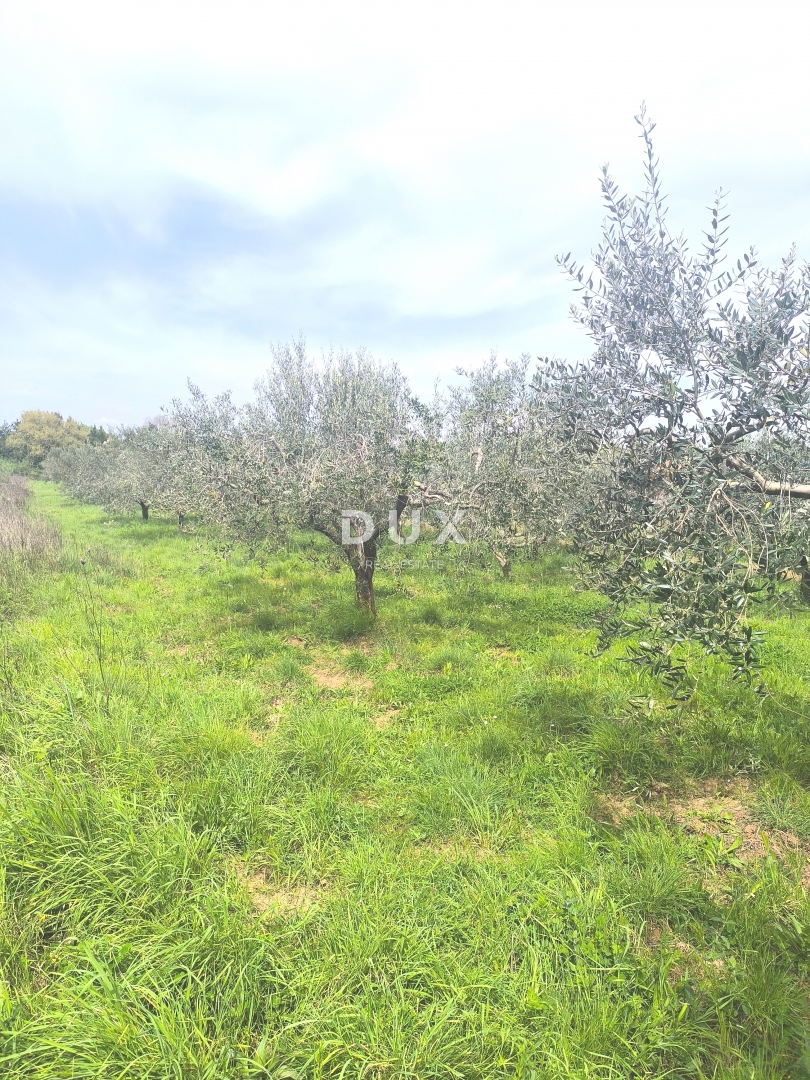 Zemljišče Premantura, Medulin, 1.010m2