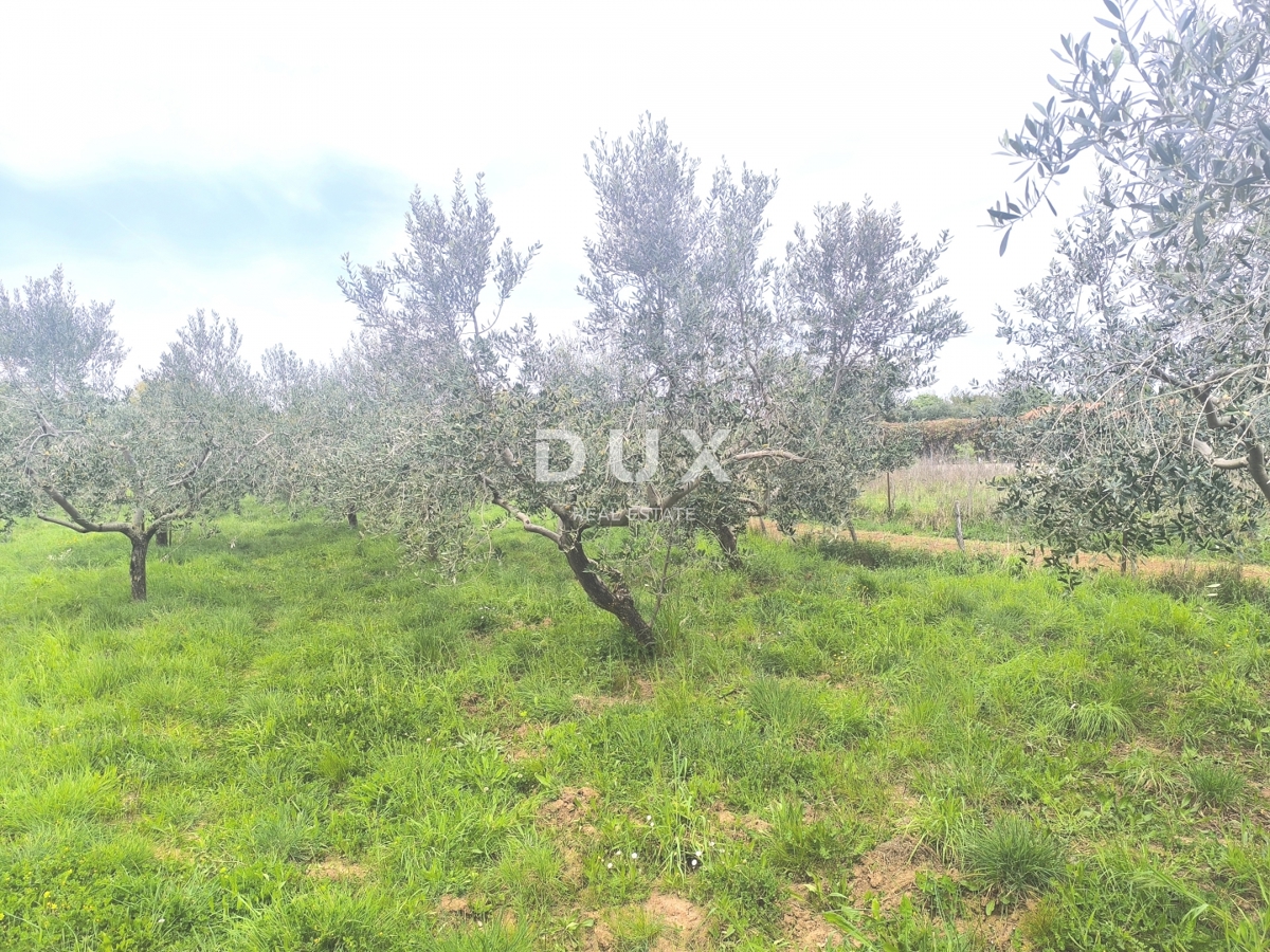 Zemljišče Premantura, Medulin, 1.010m2