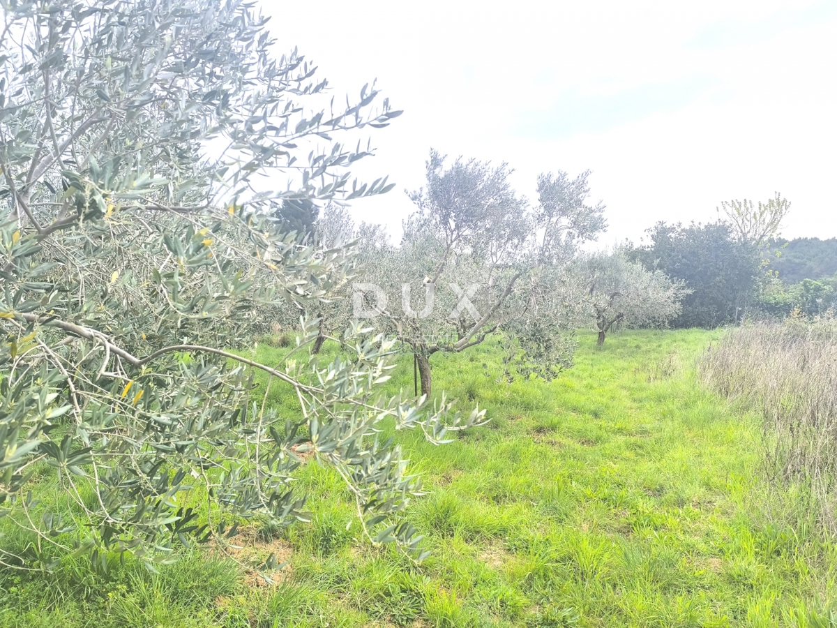 Zemljišče Premantura, Medulin, 1.010m2