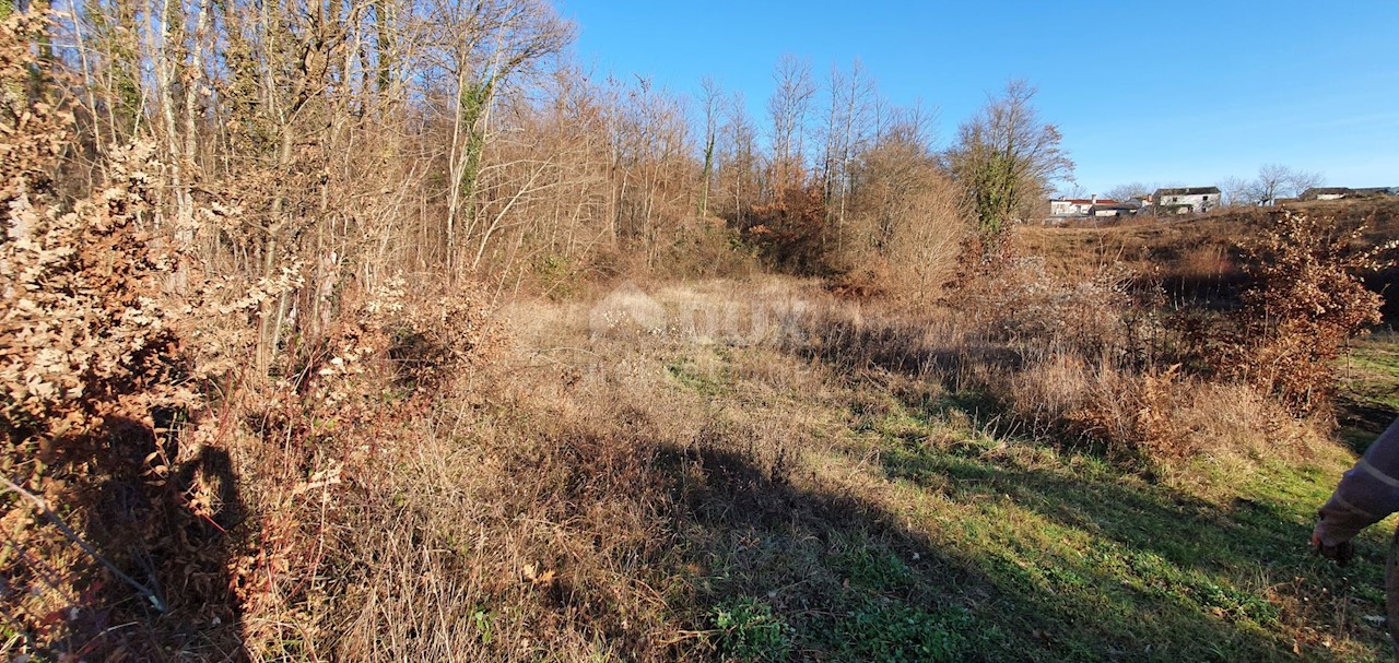 Jakačići, Gračišće, 6.000m2