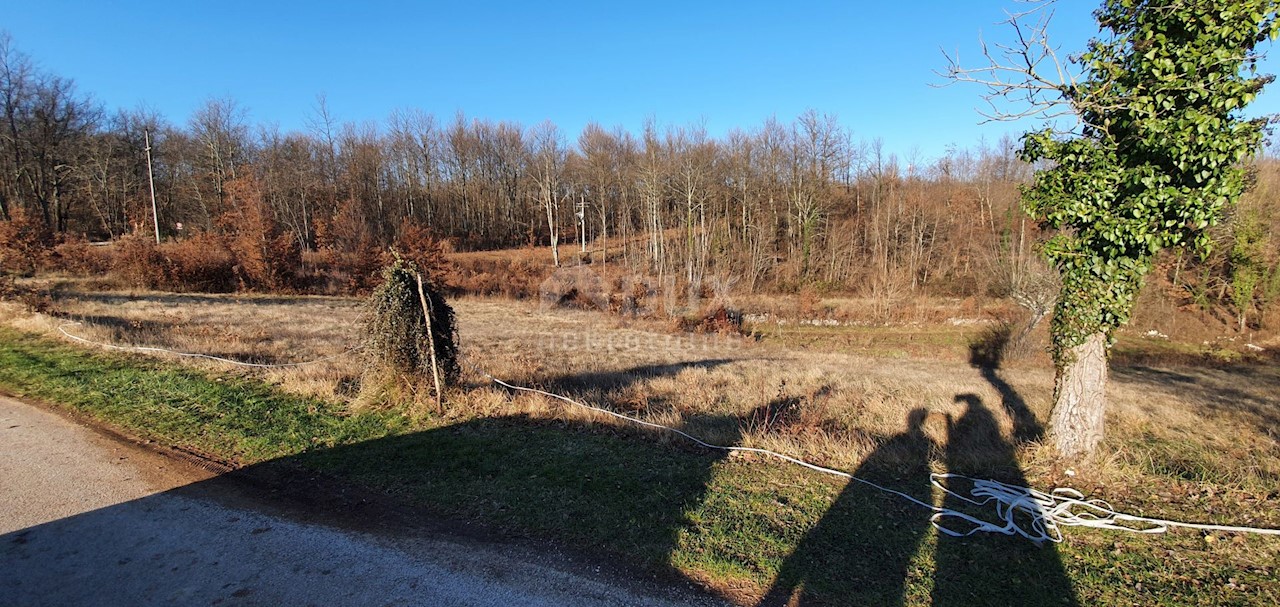 Jakačići, Gračišće, 6.000m2