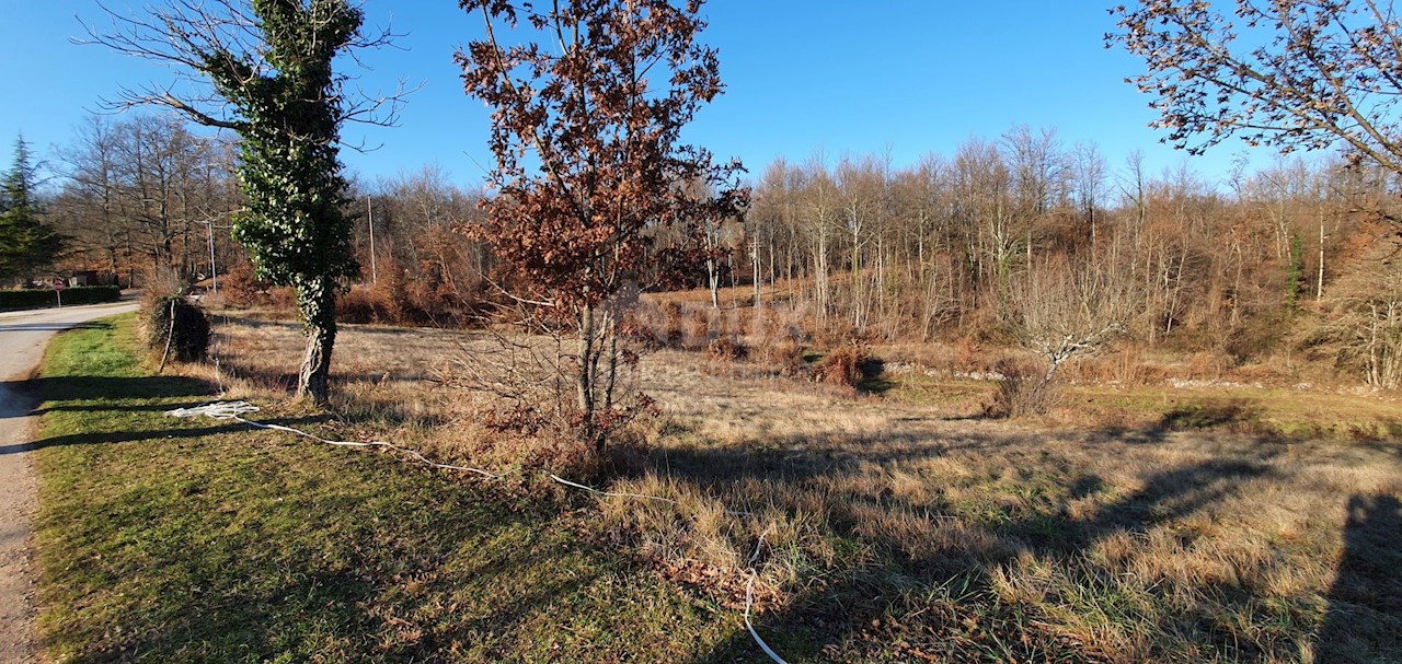 Jakačići, Gračišće, 6.000m2