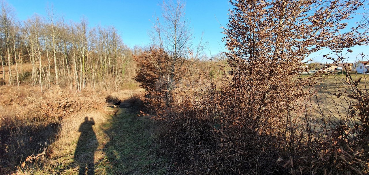 Jakačići, Gračišće, 6.000m2