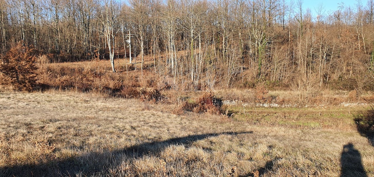 Jakačići, Gračišće, 6.000m2