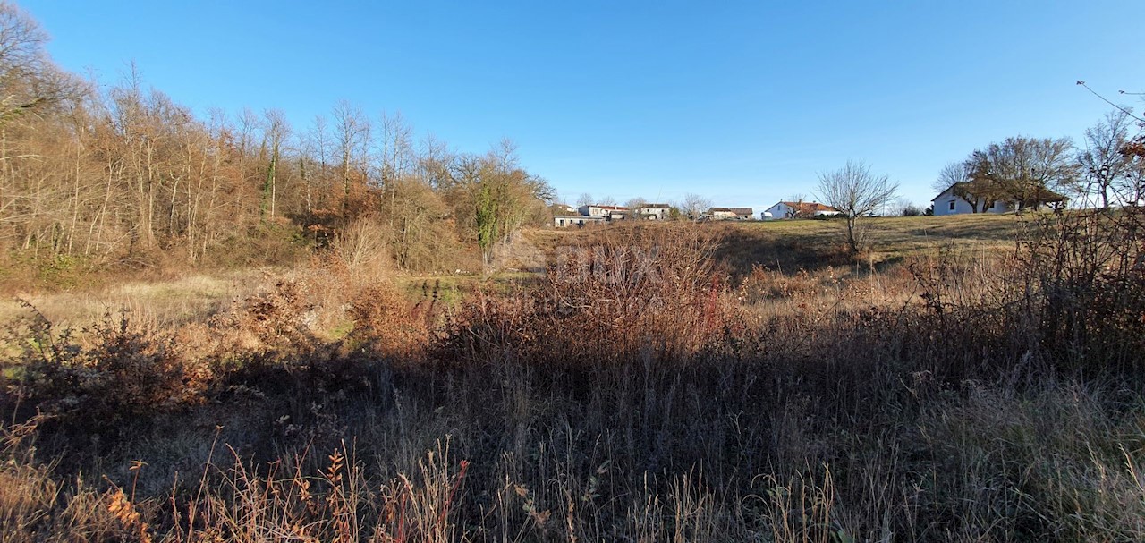 Jakačići, Gračišće, 6.000m2