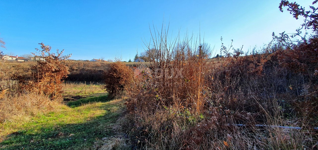 Jakačići, Gračišće, 6.000m2