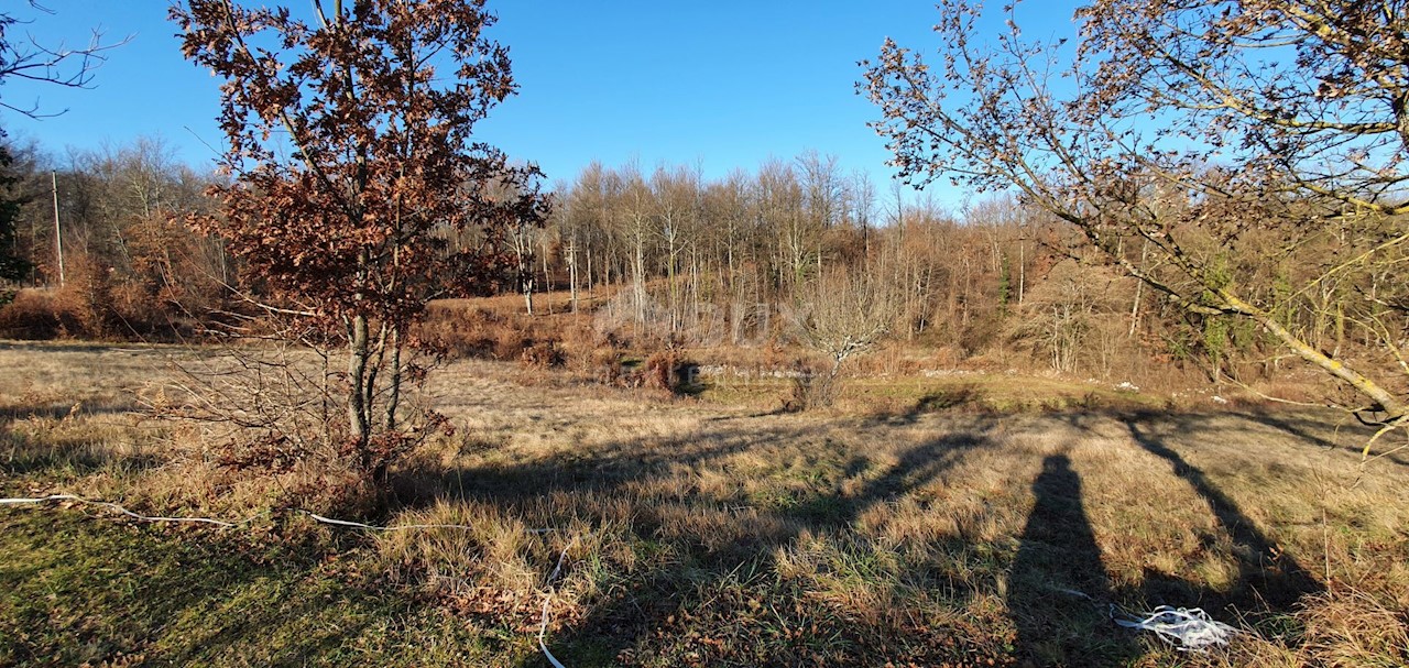 Jakačići, Gračišće, 6.000m2