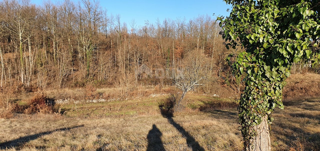 Jakačići, Gračišće, 6.000m2