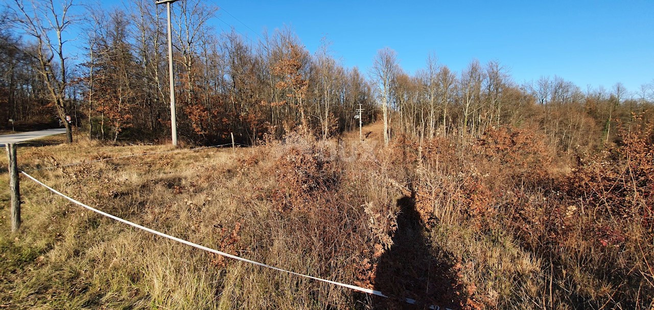 Jakačići, Gračišće, 6.000m2