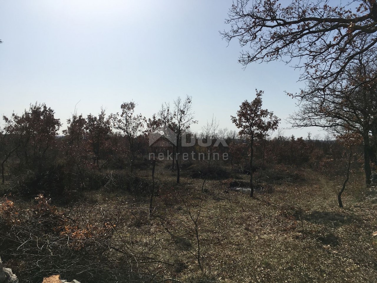 Smoljanci, Svetvinčenat, 12.421m2