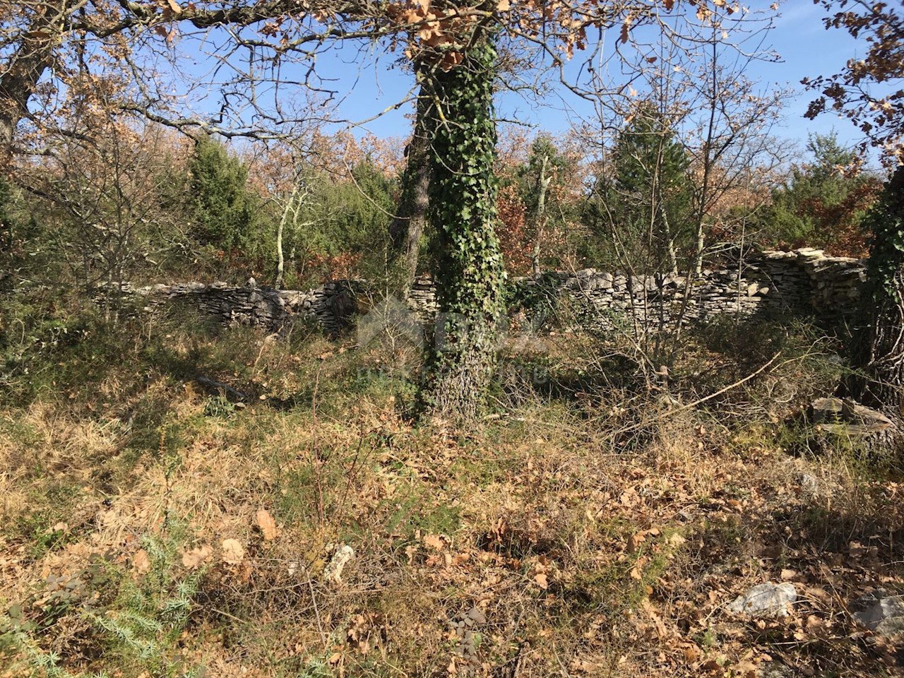 Smoljanci, Svetvinčenat, 12.421m2