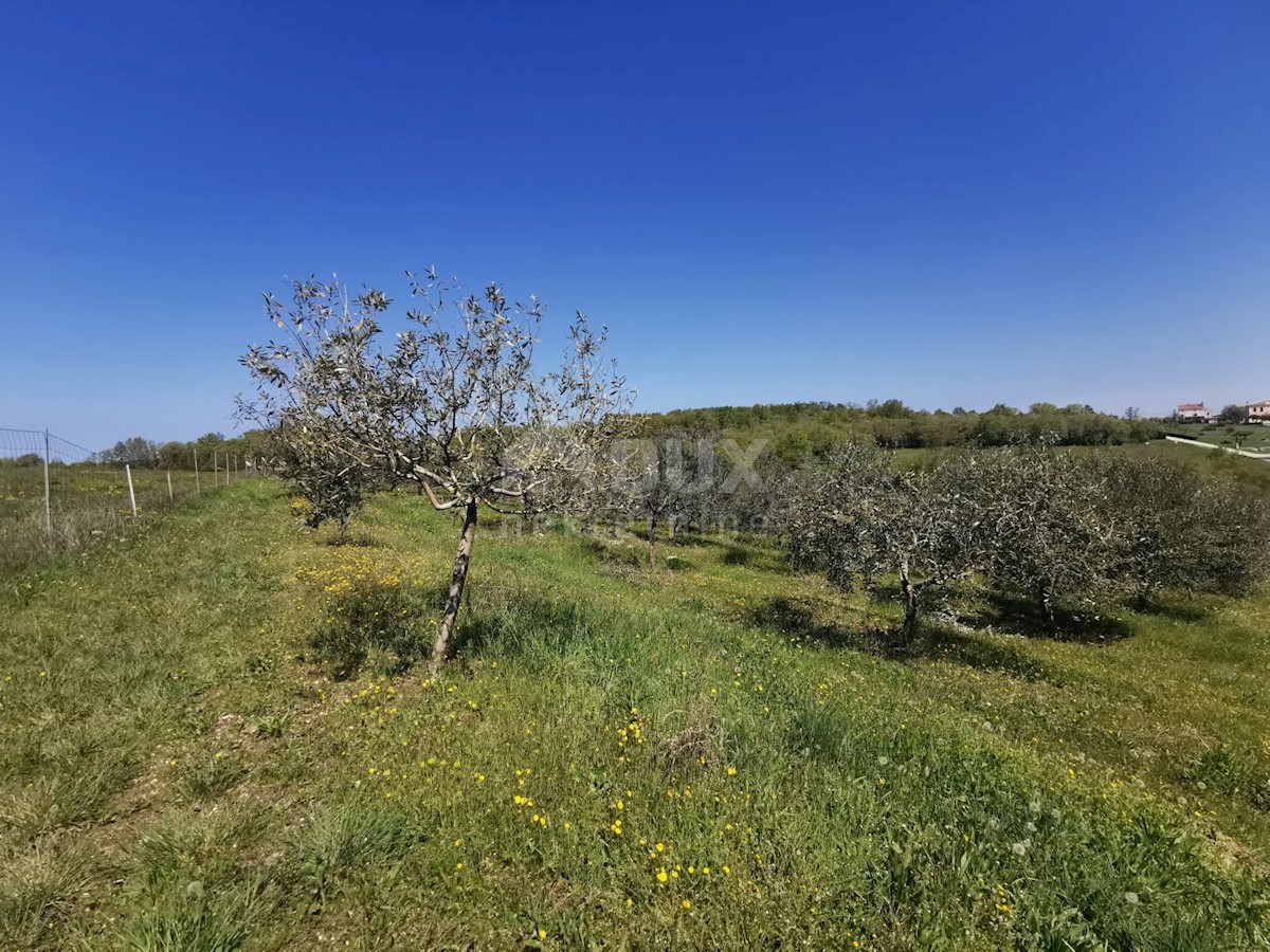 Buje, 57.869m2