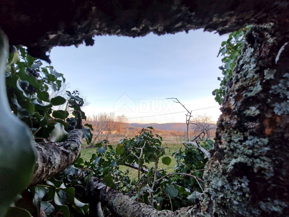 ISTRA, BUJE - Kamnita hiša na mirni lokaciji