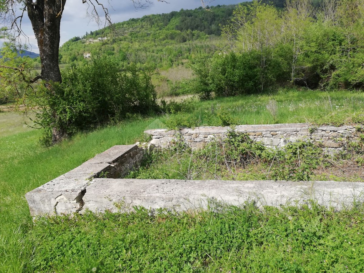 Motovun, 539.401m2