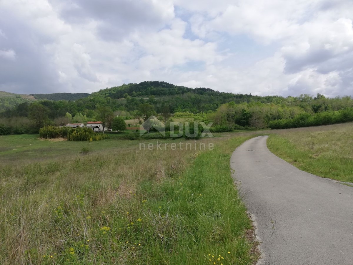 Motovun, 539.401m2