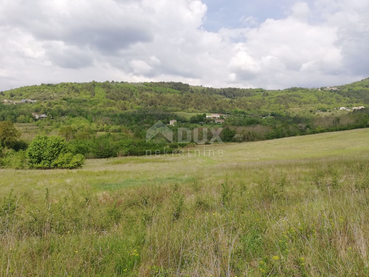 Motovun, 539.401m2