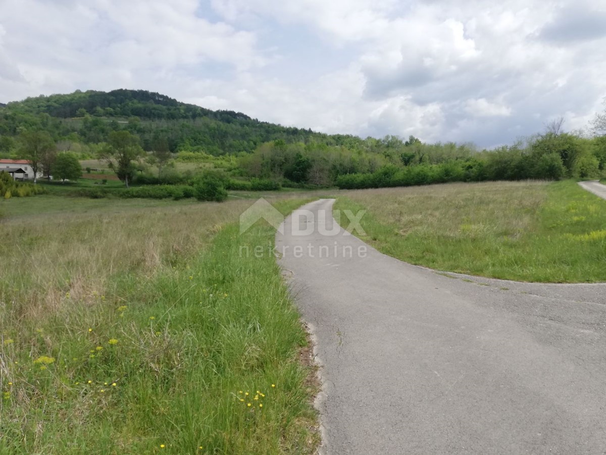 Motovun, 539.401m2