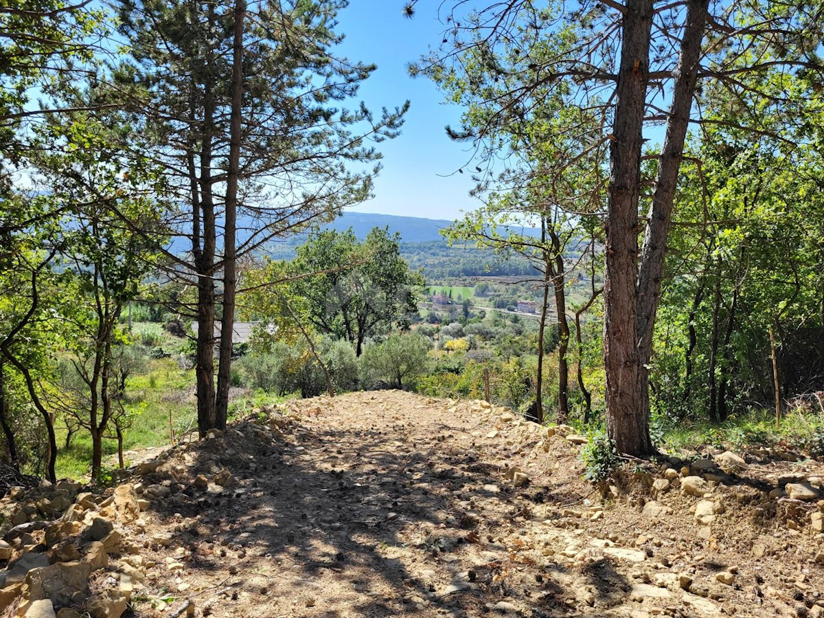 Grožnjan, 1.500m2