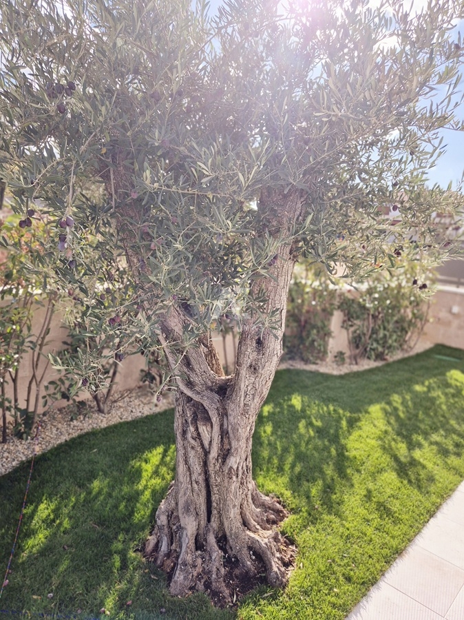 Malinska, moderna hiša dvojček z bazenom! ID 633