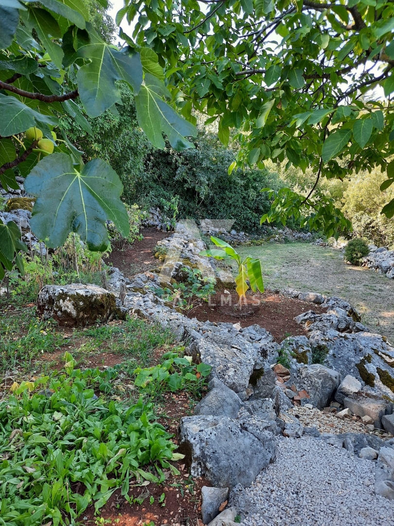 Krk, okolica, delno adaptiran dvojček. ID 59