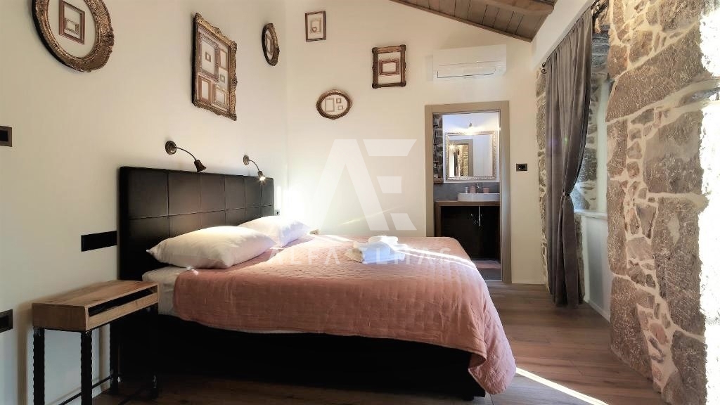 Okolica Krka, avtohtona vila z bazenom!! ID 221