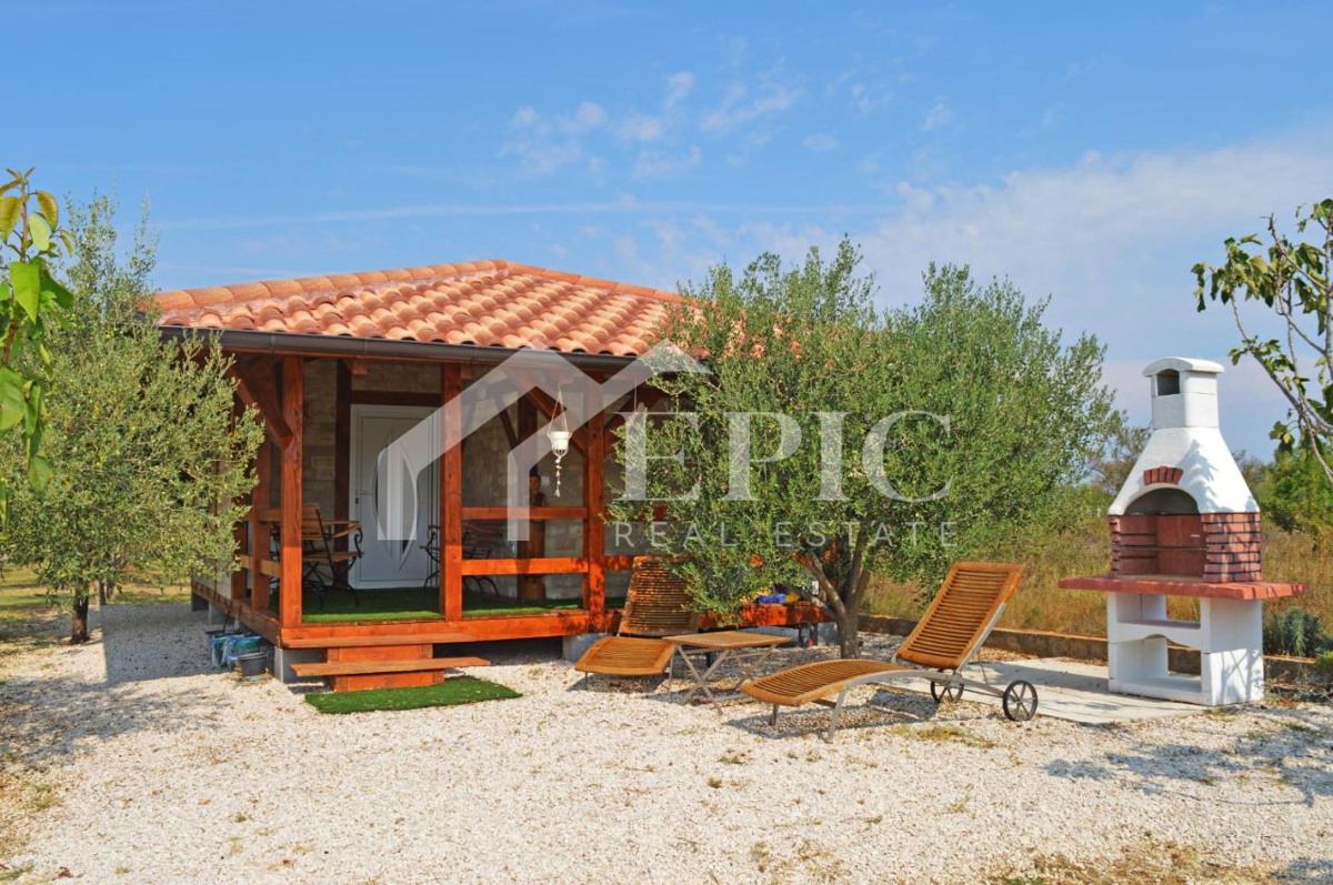 Samozadostno gospodarsko posestvo