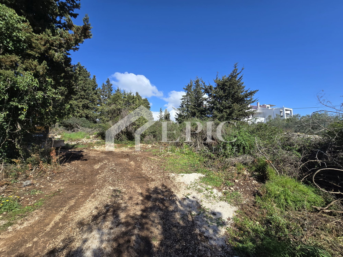 DIKLO, ZADAR - ATRAKTIVNO ZEMLJIŠTE