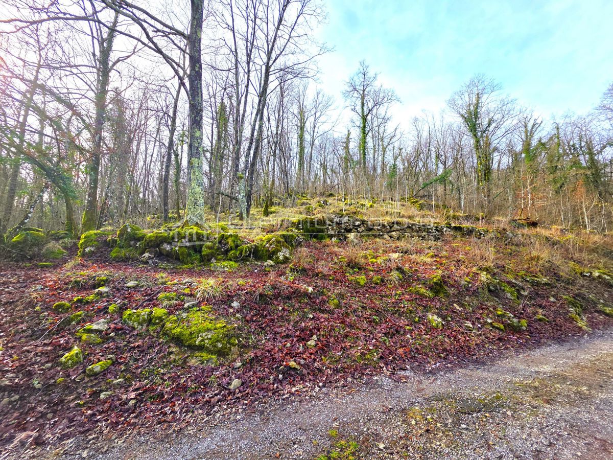 ZVONEĆA – IZJEMNA INVESTICIJSKA PRILOŽNOST POD TRŽNO VREDNOSTJO!