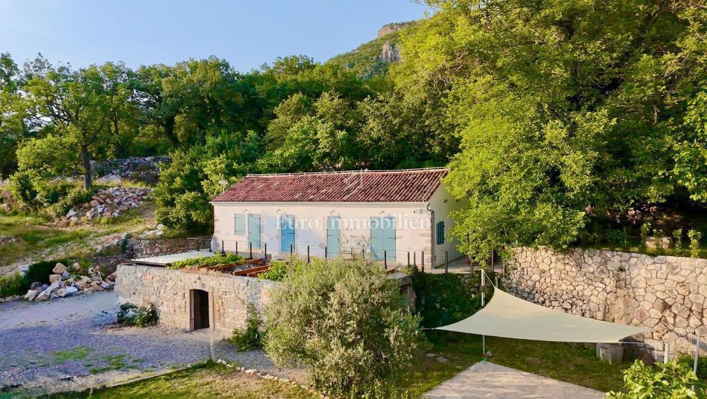 Dve Prenovljeni Kamniti Hiši z Bazenom