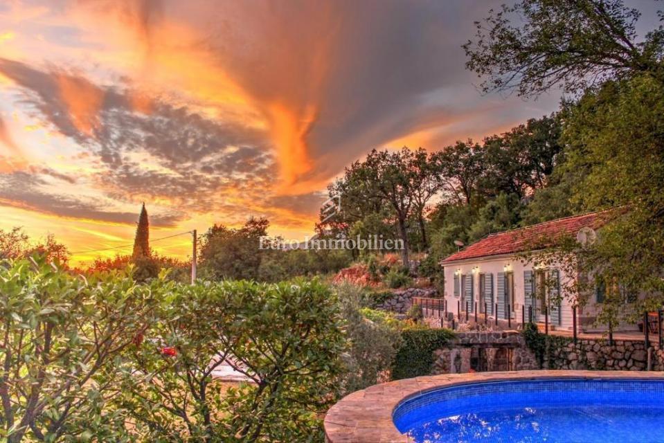 Dve Prenovljeni Kamniti Hiši z Bazenom