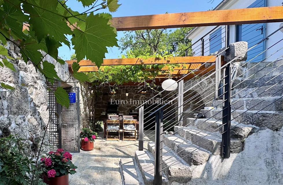 Dve Prenovljeni Kamniti Hiši z Bazenom