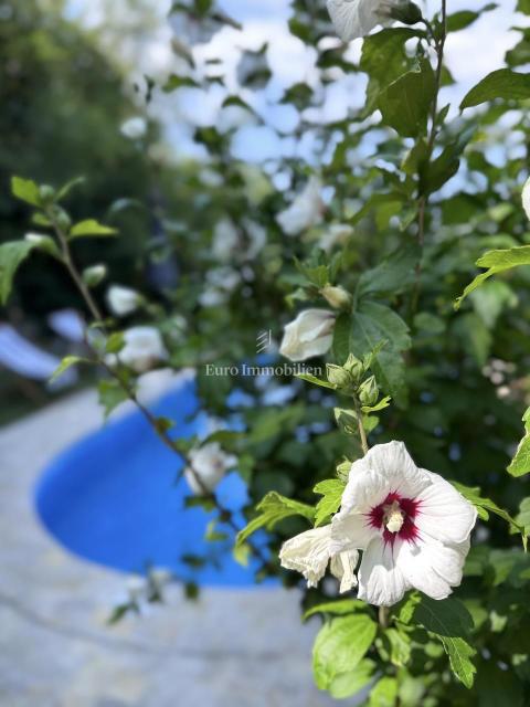 Dve Prenovljeni Kamniti Hiši z Bazenom