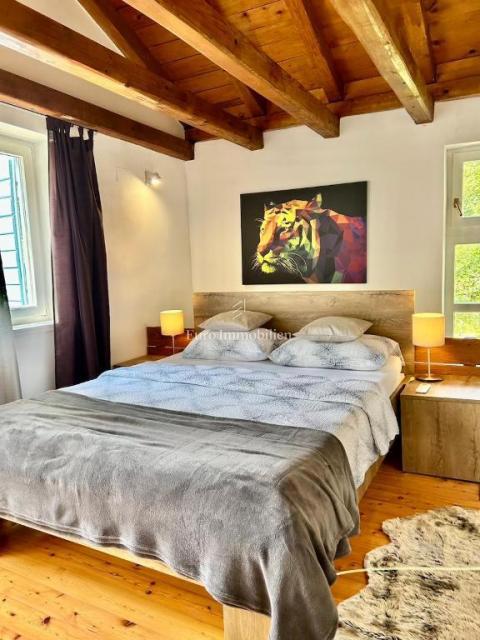 Dve Prenovljeni Kamniti Hiši z Bazenom