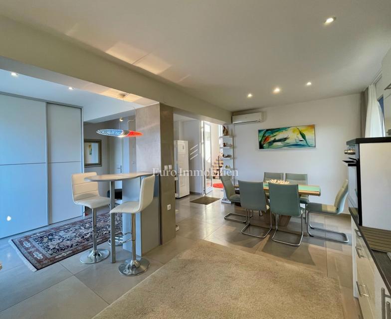 Moderna družinska hiša s terasami in vrtom