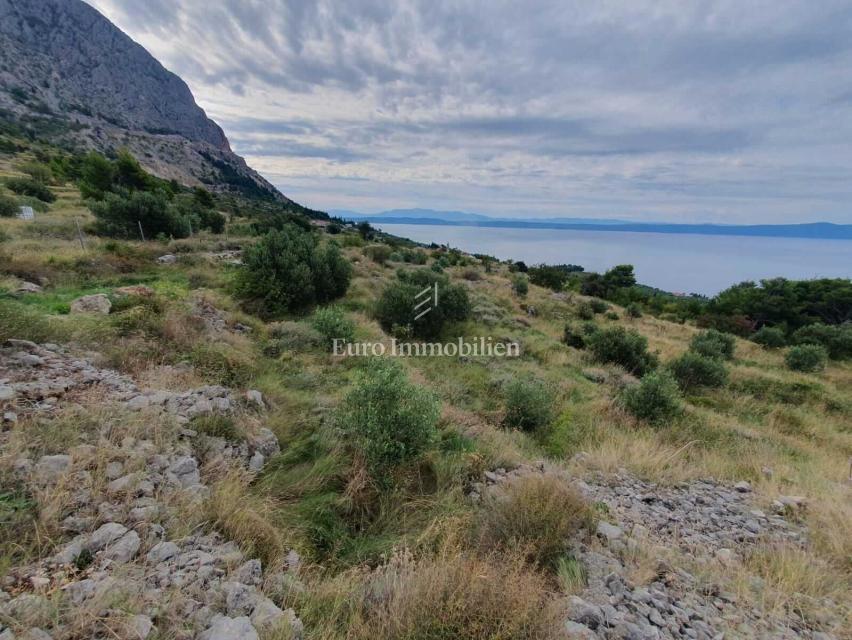 Kmetijsko zemljišče v Gornji Podgori