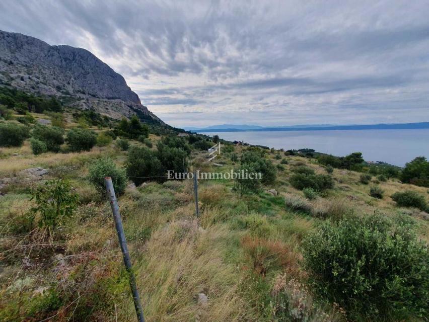 Kmetijsko zemljišče v Gornji Podgori