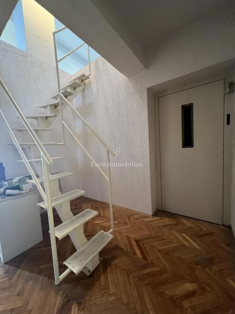 VIŠKOVO, samostojna hiša s poslovnim prostorom, 2 garaži