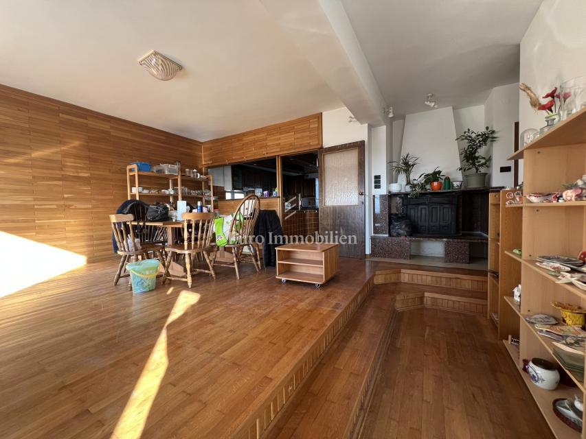 VIŠKOVO, samostojna hiša s poslovnim prostorom, 2 garaži