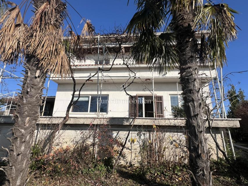 VIŠKOVO, samostojna hiša s poslovnim prostorom, 2 garaži