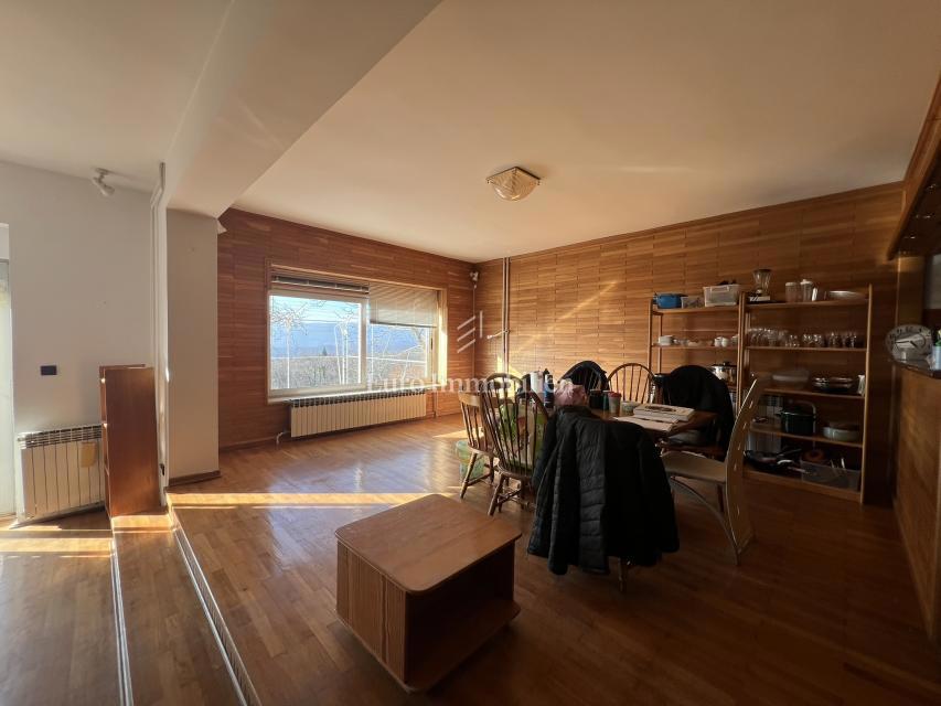 VIŠKOVO, samostojna hiša s poslovnim prostorom, 2 garaži