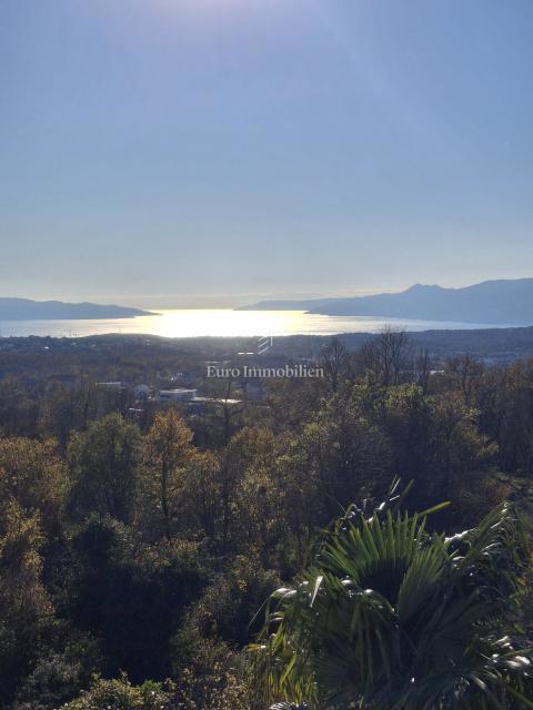 VIŠKOVO, samostojna hiša s poslovnim prostorom, 2 garaži