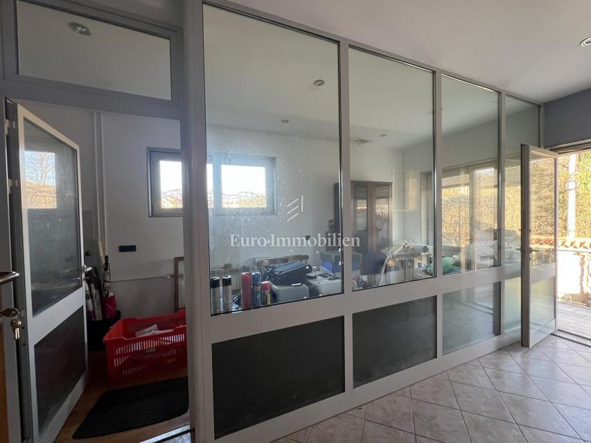 VIŠKOVO, samostojna hiša s poslovnim prostorom, 2 garaži