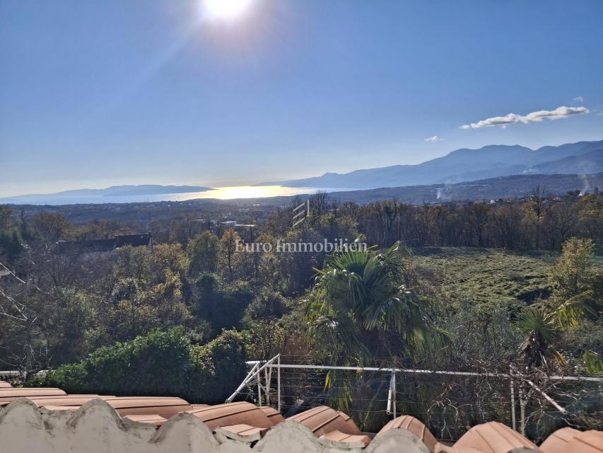 VIŠKOVO, samostojna hiša s poslovnim prostorom, 2 garaži