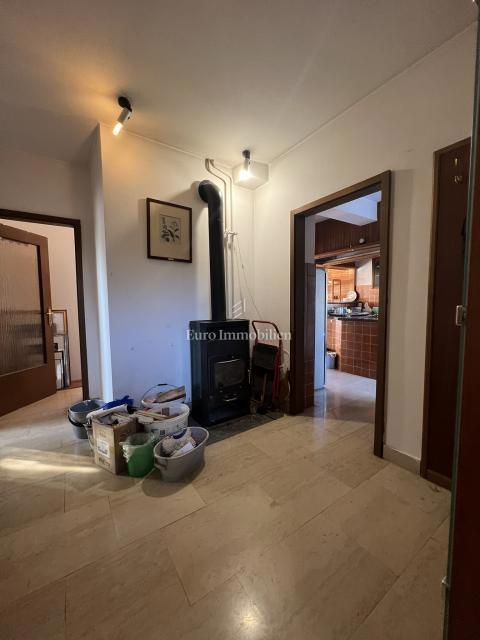 VIŠKOVO, samostojna hiša s poslovnim prostorom, 2 garaži