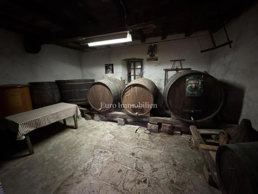 Istra - Avtentična kamnita hiša in gradbeno zemljišče