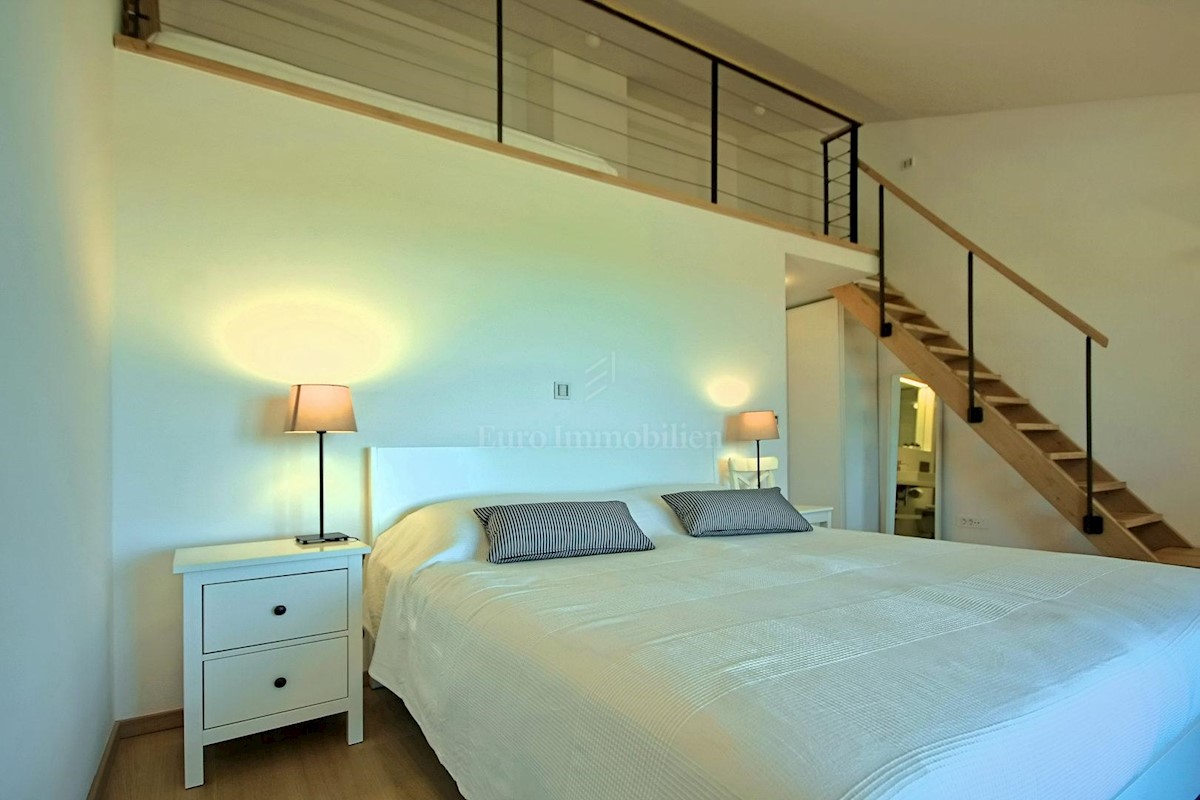 Predivna moderna villa s bazenom, Istra